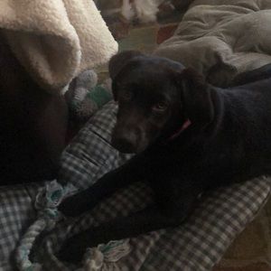 Meet your Posher, Eileen